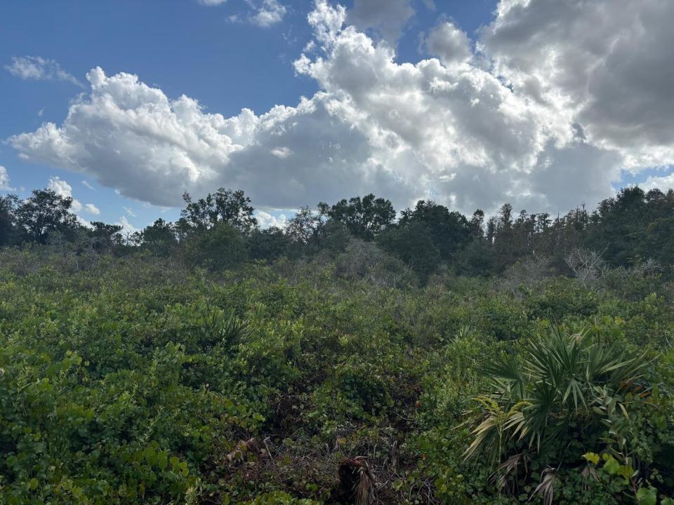 0 County Rd 54, Floride 33849, États-Unis