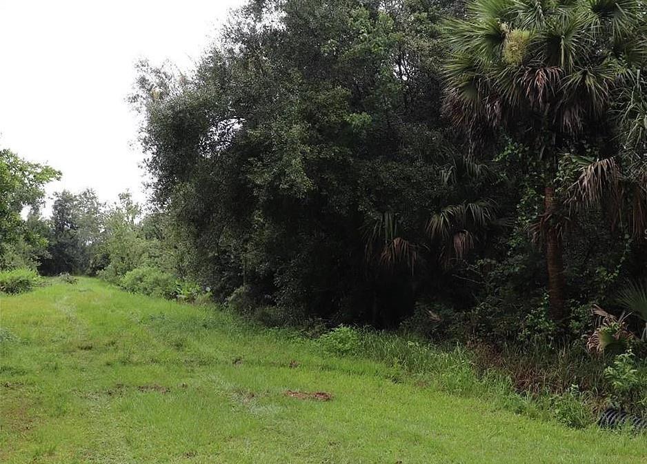 21331 NW 250th Street, Okeechobee, Florida 34972, Stati Uniti