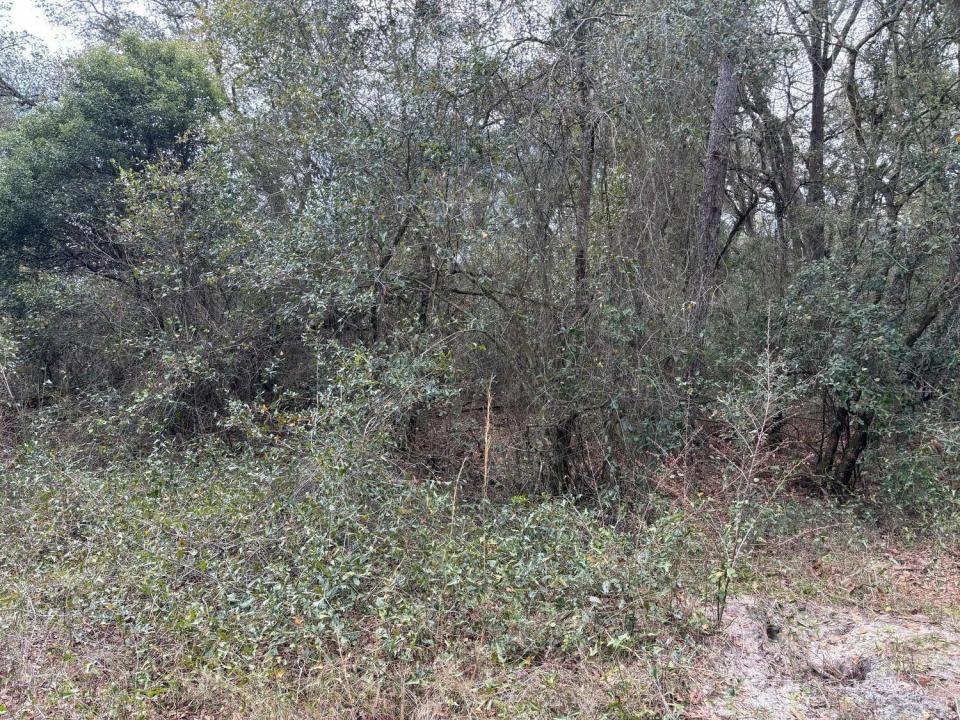 0 County Rd 54, Floryda 33849, USA
