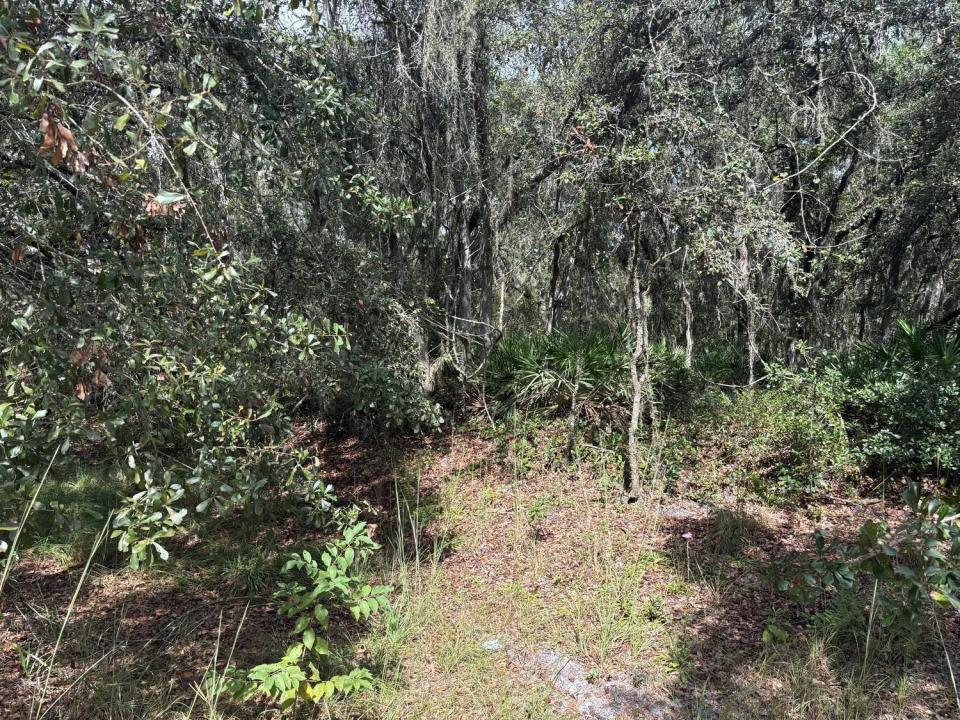 0 County Rd 54, Floride 33849, États-Unis