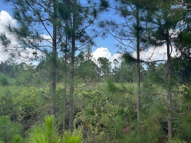 0 County Rd 54, Floride 33849, États-Unis