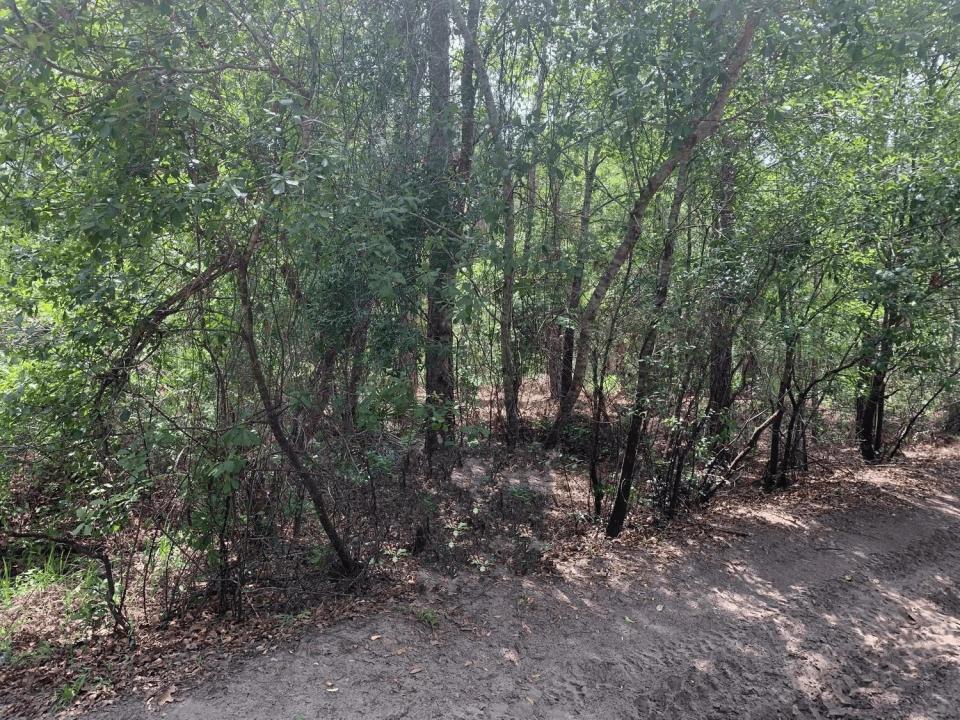 0 County Rd 54, Floryda 33849, USA