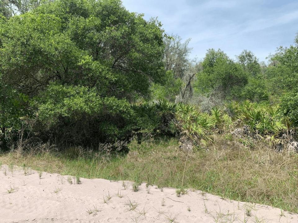 0 County Rd 54, Floride 33849, États-Unis