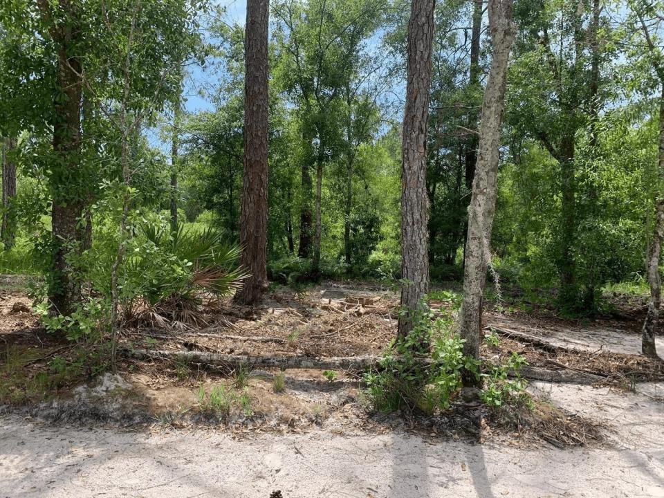 0 County Rd 54, Florida 33849, Stati Uniti
