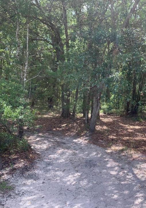 0 County Rd 54, Floryda 33849, USA