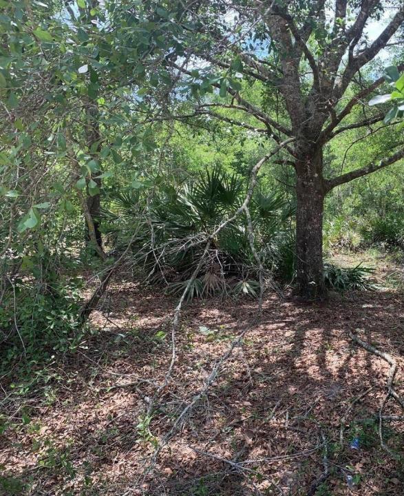 0 County Rd 54, Florida 33849, Stati Uniti