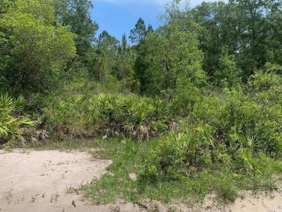 0 County Rd 54, Floride 33849, États-Unis