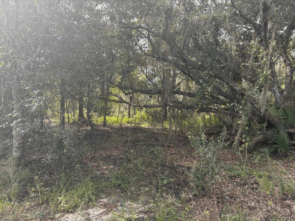 0 NW 304th Street, Okeechobee, Floride 34972, États-Unis