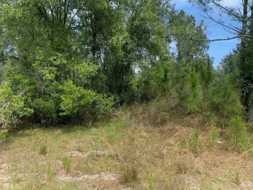 0 County Rd 54, Флорида 33849, Соединенные Штаты