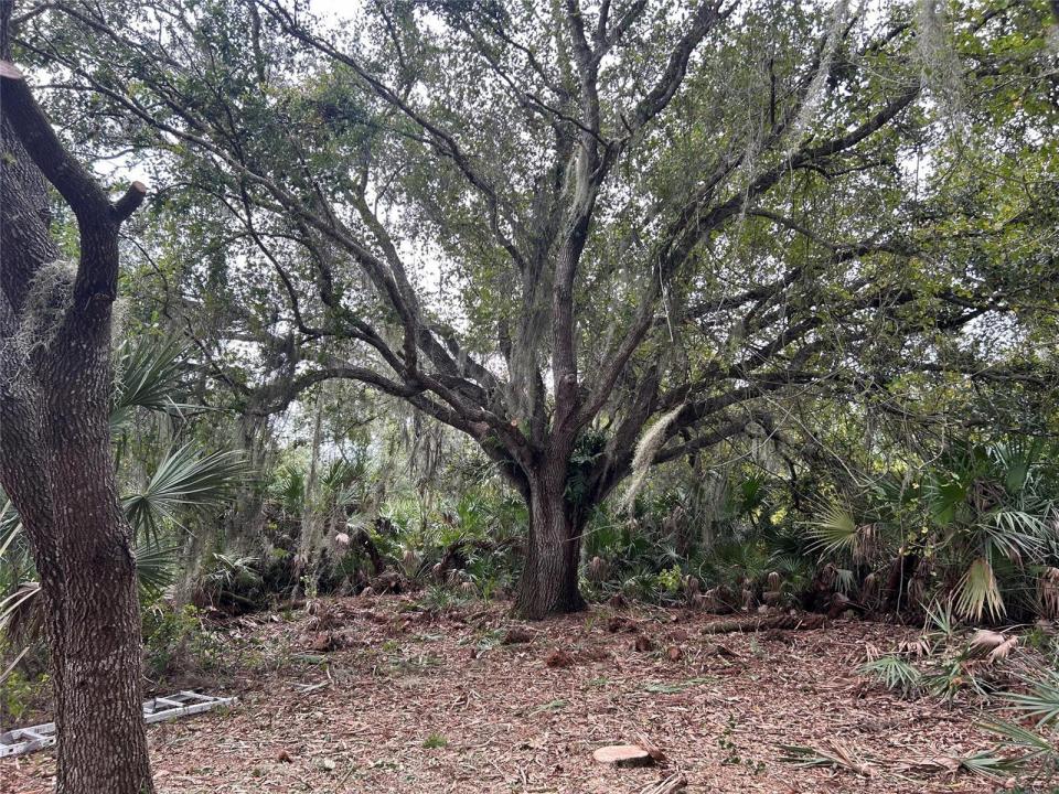 0 298th Street, Okeechobee, Florida 34972, Stati Uniti