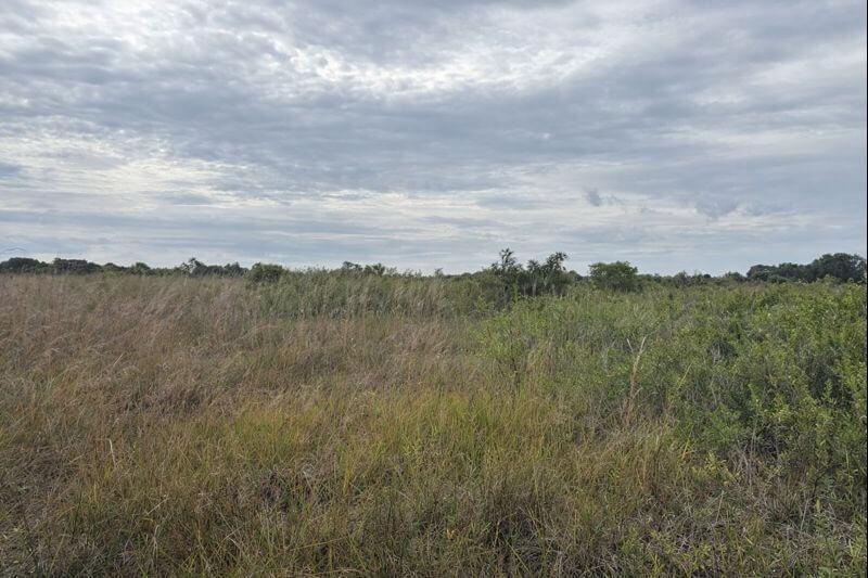 0 NW 318th Street, Okeechobee, Floride 34972, États-Unis