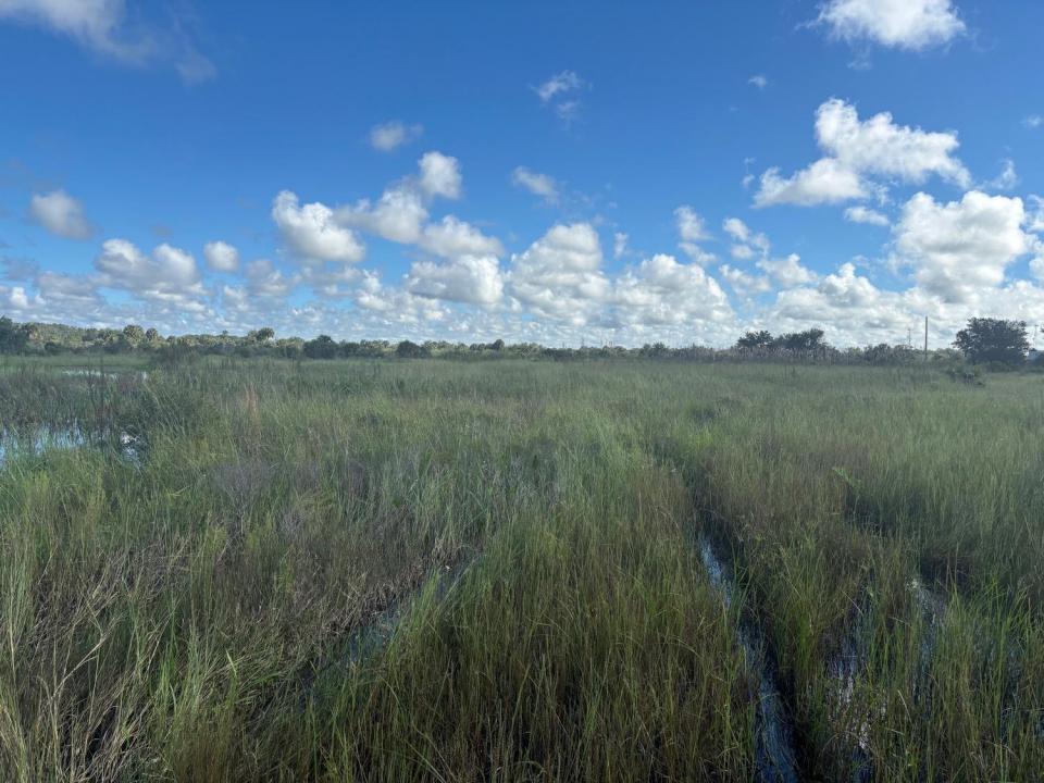 0 NW 306th Street, Okeechobee, Florida 34972, Stati Uniti