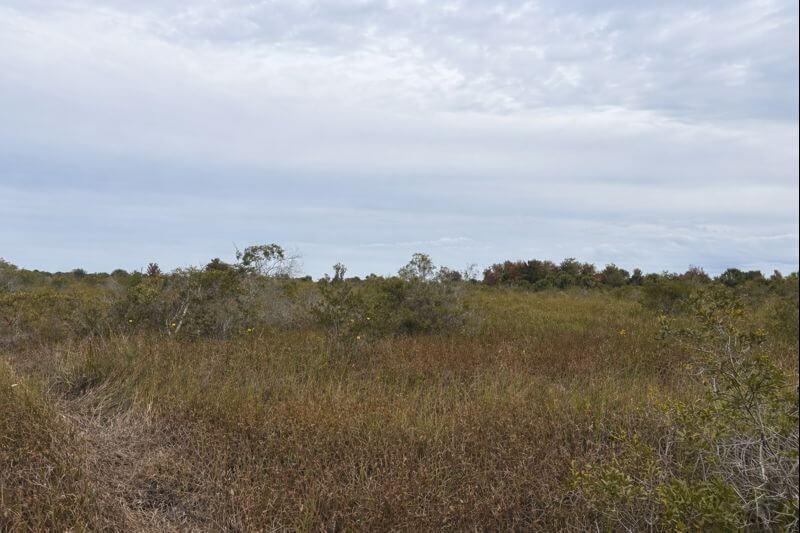 0 NW 310th Street, Okeechobee, Florida 34972, Stati Uniti