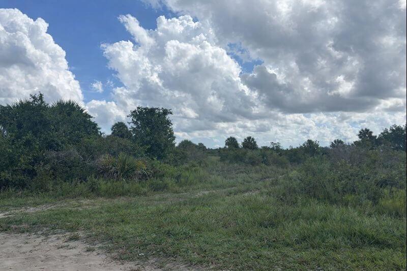 0 NW 304th Street, Okeechobee, Florida 34972, Stati Uniti