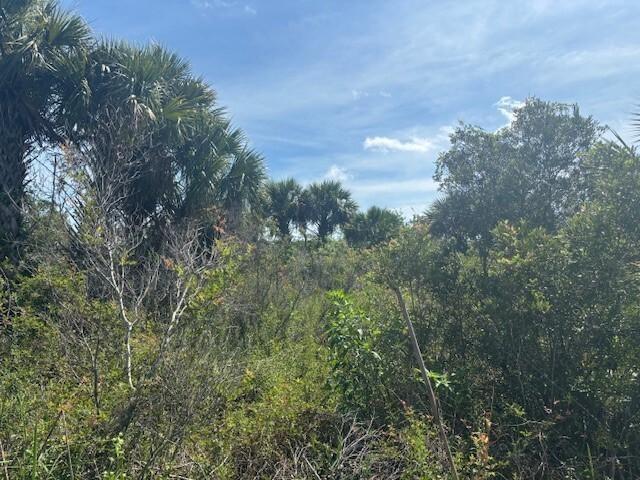0 NW 310th Street, Okeechobee, Floride 34972, États-Unis
