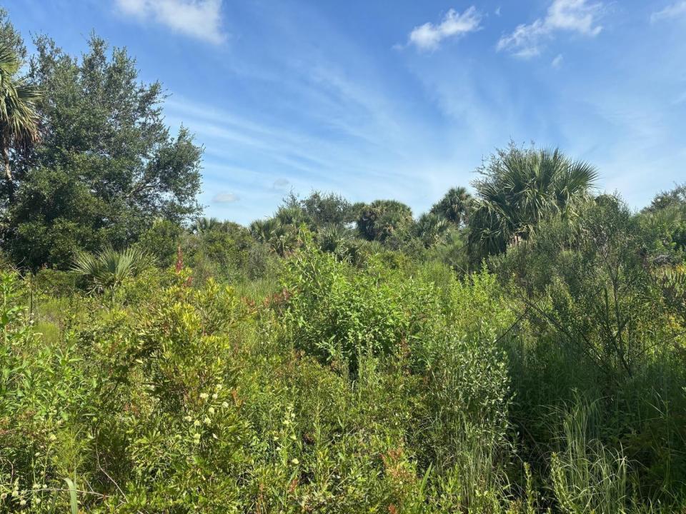 0 NW 312th Street, Okeechobee, Florida 34972, Stati Uniti