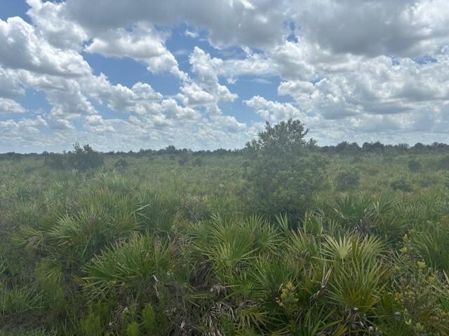 0 313th Street, Okeechobee, Florida 34972, Estados Unidos
