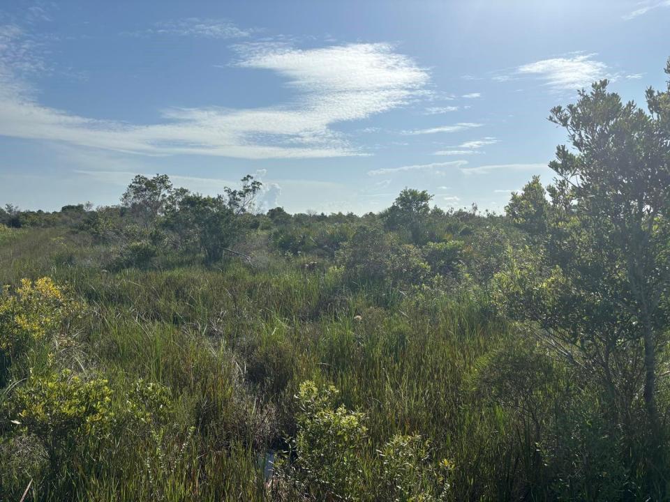 0 NW 318th Street, Okeechobee, Florida 34972, Stati Uniti