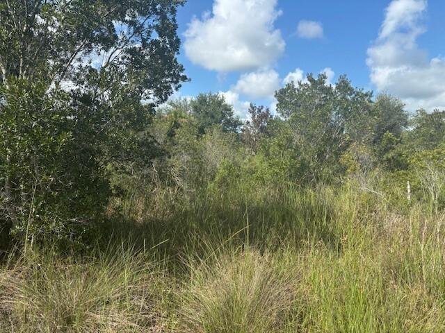 0 NW 316th Street, Okeechobee, Floride 34972, États-Unis