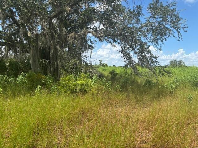 0 NW 316th Street, Okeechobee, Floride 34972, États-Unis