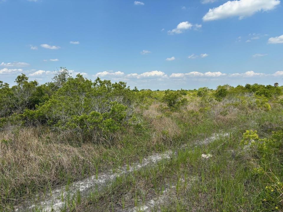 0 NW 318th Street, Okeechobee, Floride 34972, États-Unis