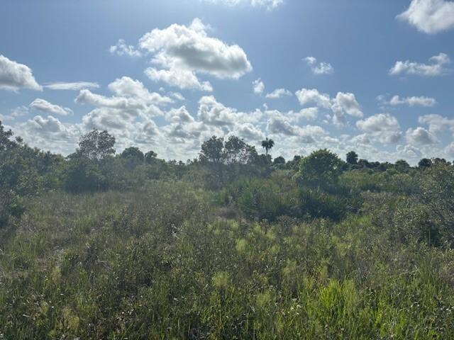 0 NW 316th Street, Okeechobee, Florida 34972, Stati Uniti