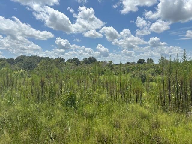 0 NW 314th Street, Okeechobee, Floride 34972, États-Unis