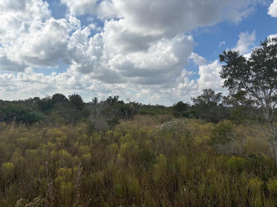 0 NW 314th Street, Okeechobee, Florida 34972, Stati Uniti