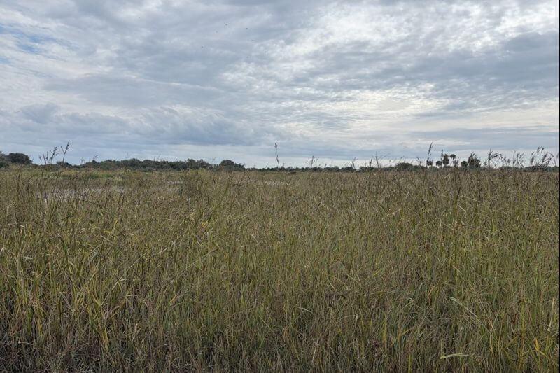 0 NW 306th Street, Okeechobee, Floride 34972, États-Unis