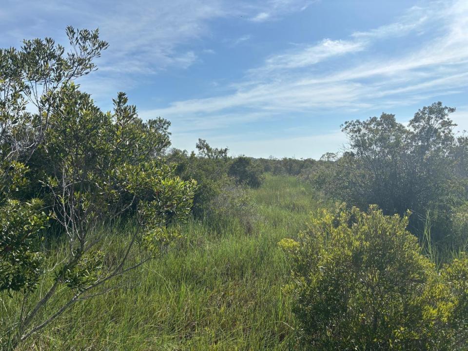 0 NW 308th Street, Okeechobee, Florida 34972, Stati Uniti