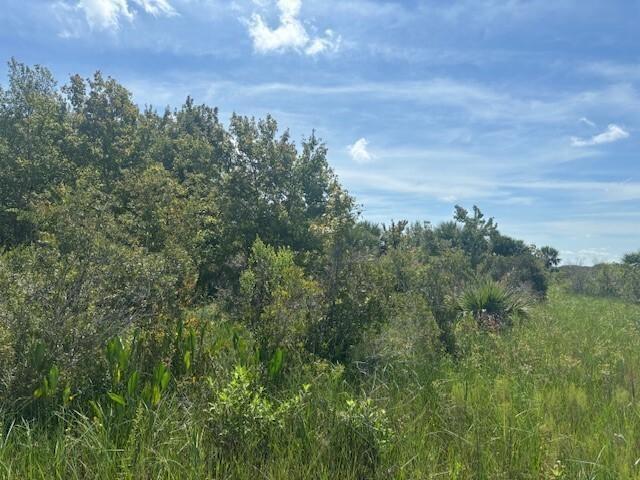 0 NW 310th Street, Okeechobee, Florida 34972, Stati Uniti