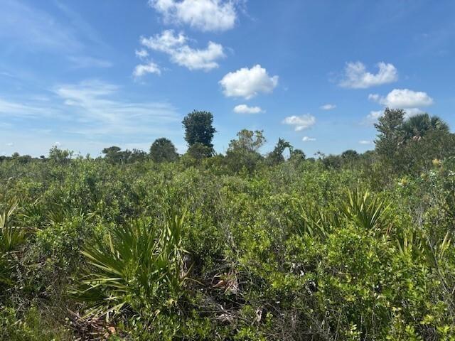 0 NW 310th Street, Okeechobee, Florida 34972, Stati Uniti
