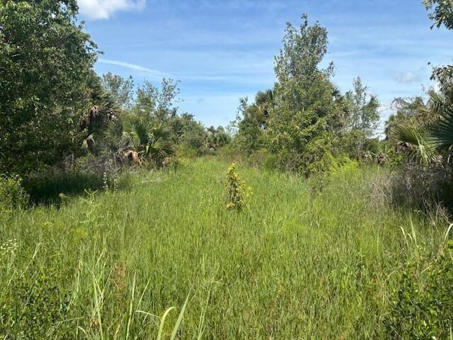 0 NW 310th Street, Okeechobee, Florida 34972, Stati Uniti