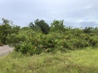 0 US Hwy 27, Lake Wales, Flórida 33859, Estados Unidos