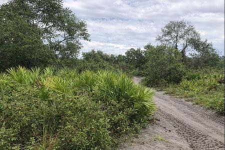 0 Alturas Babson Park Cutoff Road, Lake Wales, Florida 33859, Amerika Birleşik Devletleri