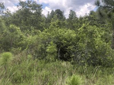 0 Xeriscape Nursery Road, Frostproof, Floride 33843, États-Unis