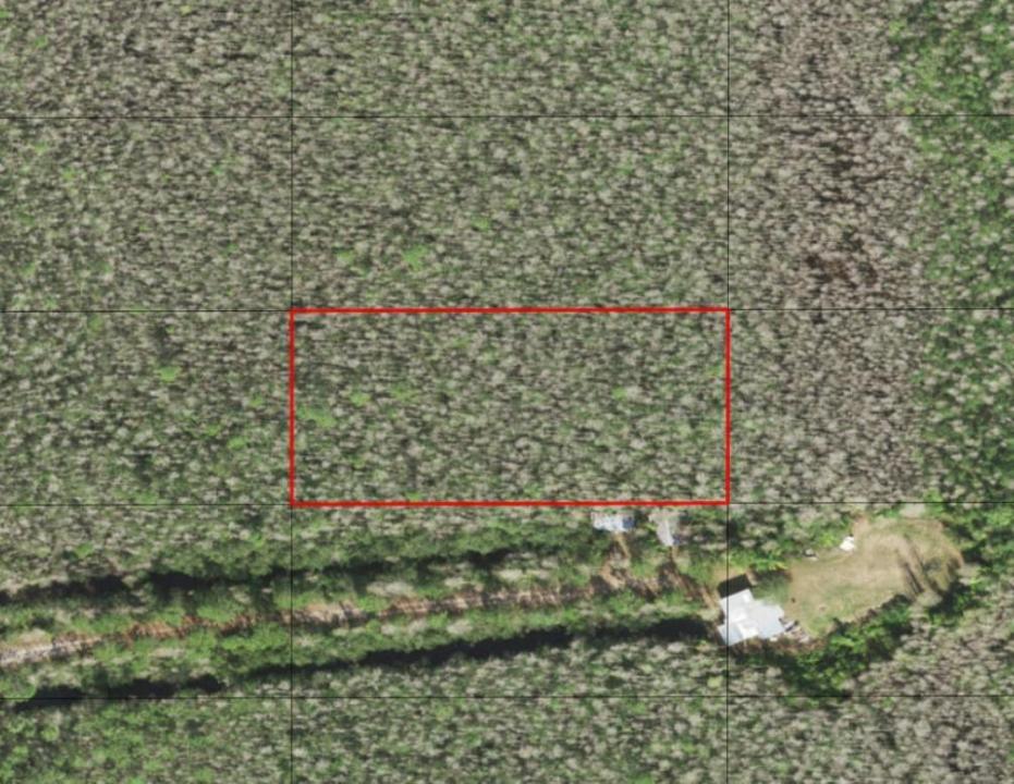 0 Holopaw Groves Road, Floride 34772, États-Unis