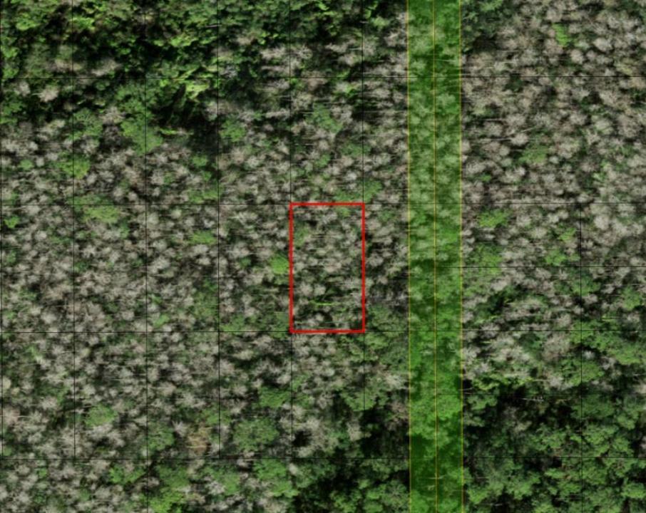 0 Holopaw Groves Road, Floride 34772, États-Unis