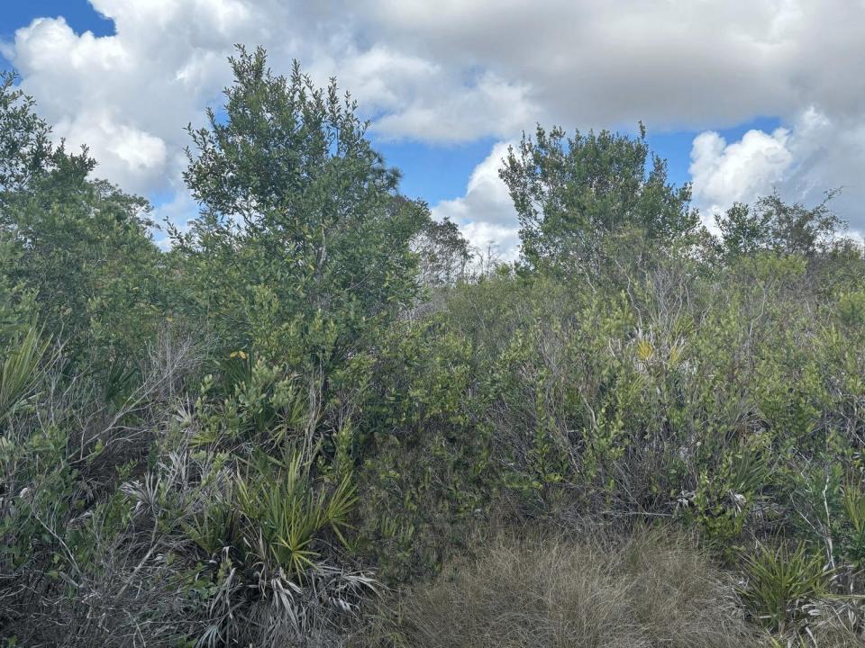 0 County Rd 54, פלורידה 33849, ארצות הברית של אמריקה