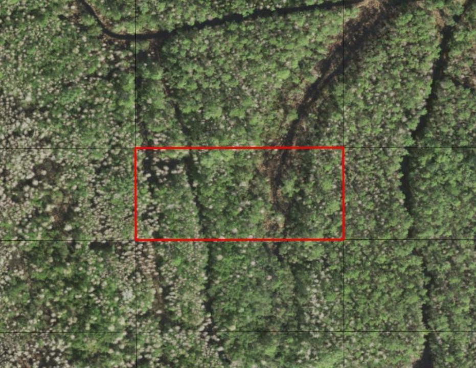 0 Holopaw Groves Road, Floride 34772, États-Unis
