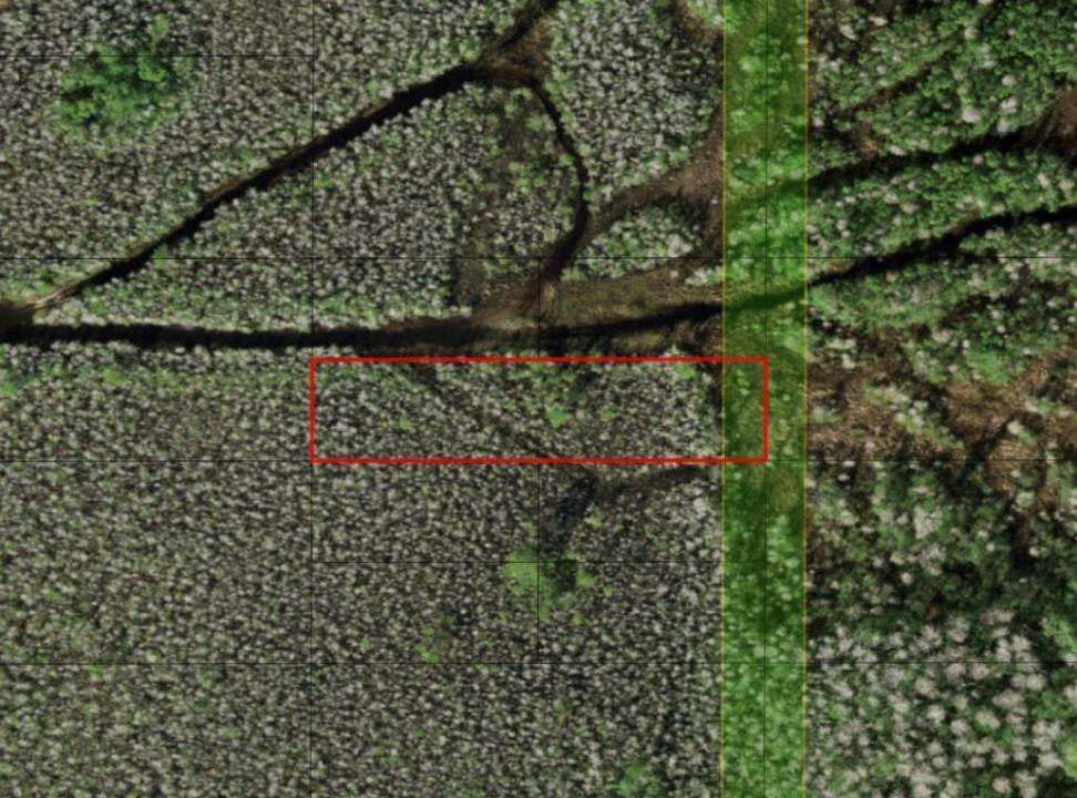 0 Holopaw Groves Road, Florida 34772, USA
