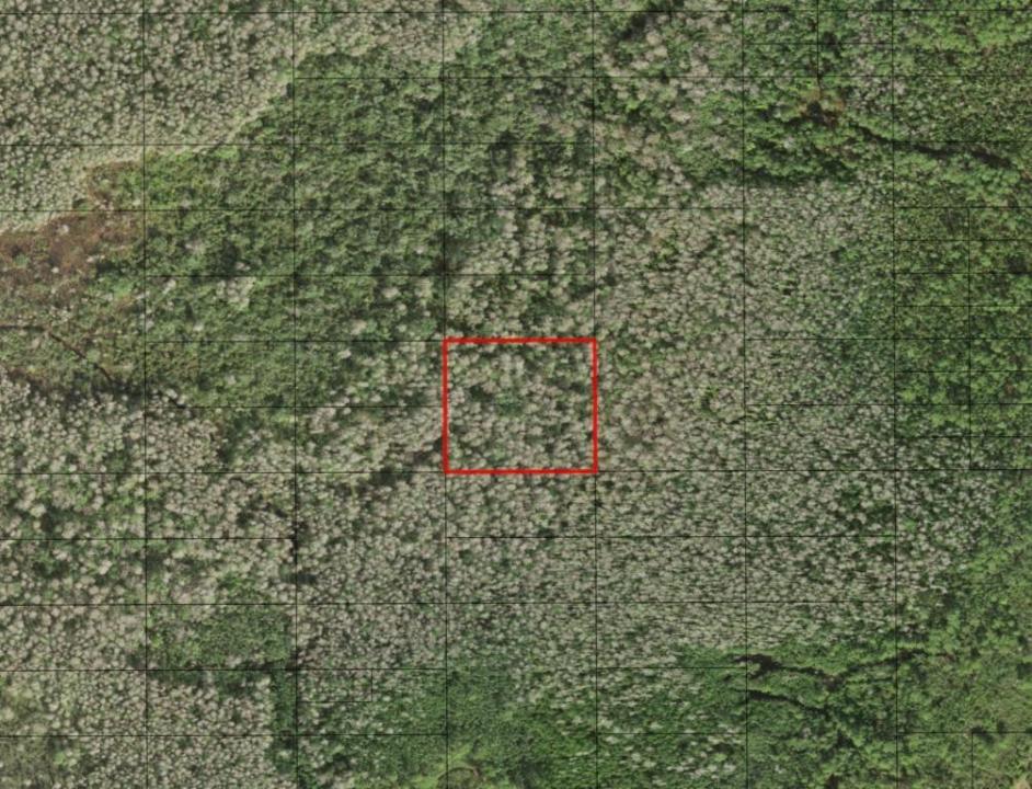0 Holopaw Groves Road, Florida 34772, Stati Uniti