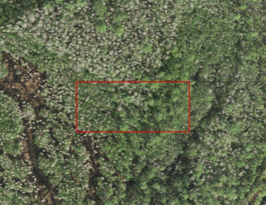 0 Holopaw Groves Road, Florida 34772, Stati Uniti