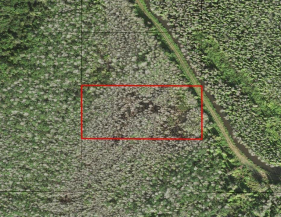 0 Holopaw Groves Road, Floride 34772, États-Unis