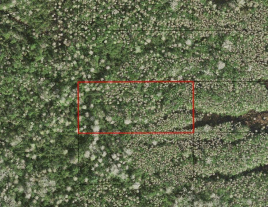 0 Holopaw Groves Road, Florida 34772, Stati Uniti