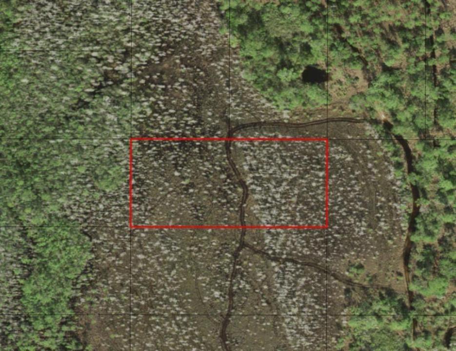 0 Holopaw Groves Road, Floride 34772, États-Unis