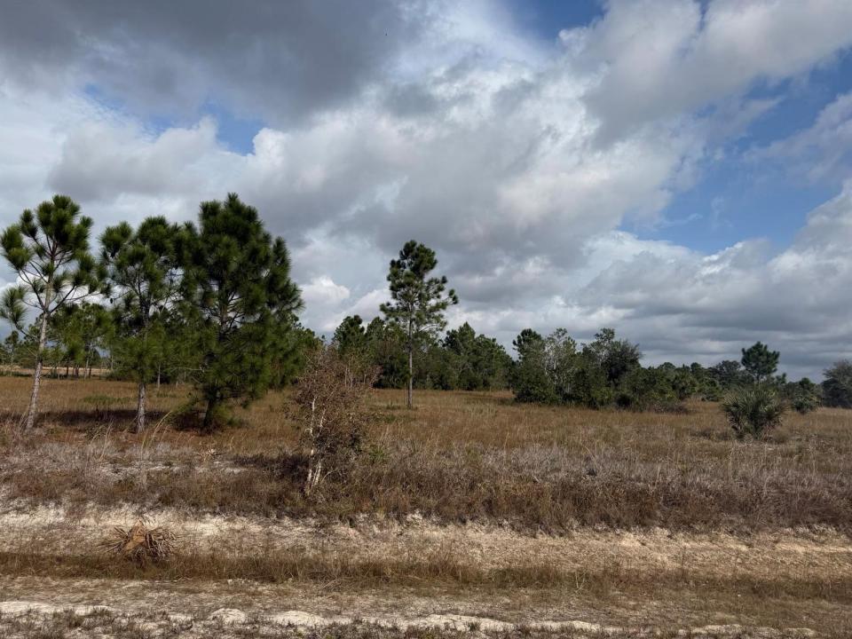 16375 NW 314th Street, Okeechobee, Florida 34972, USA