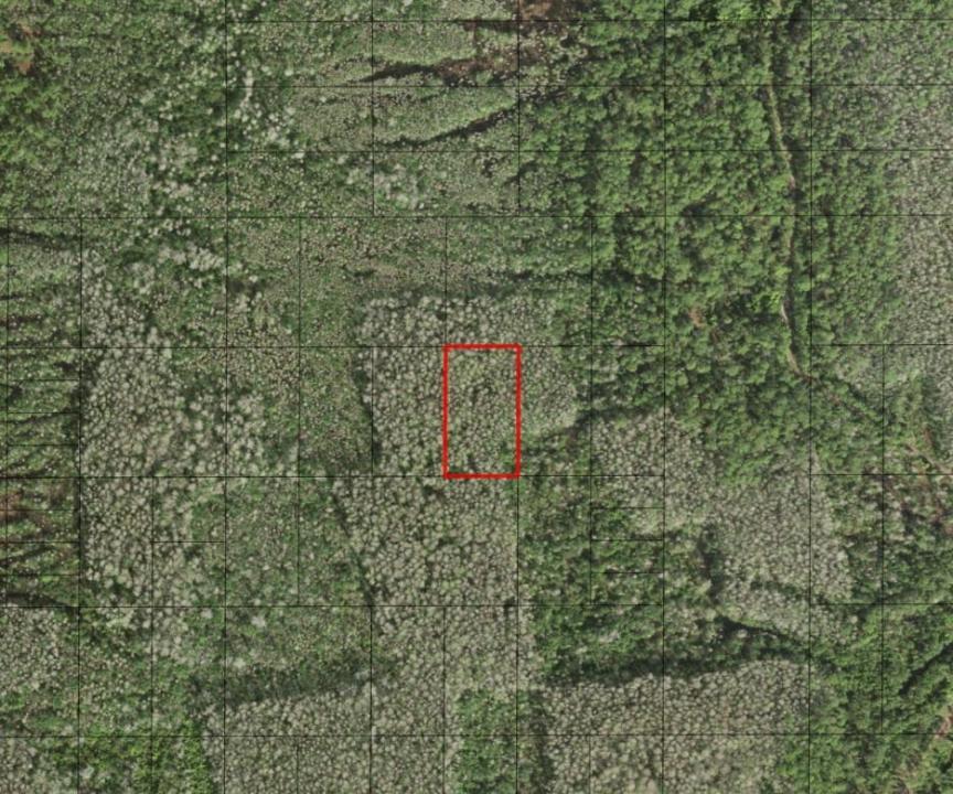 0 Holopaw Groves Road, Florida 34772, USA