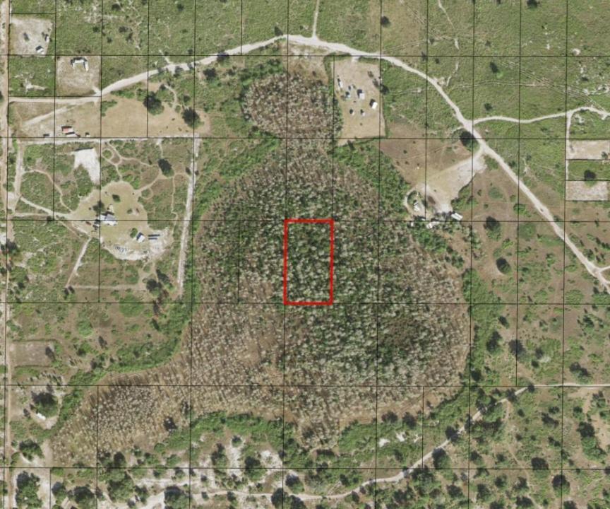 0 Holopaw Groves Road, Floride 34772, États-Unis