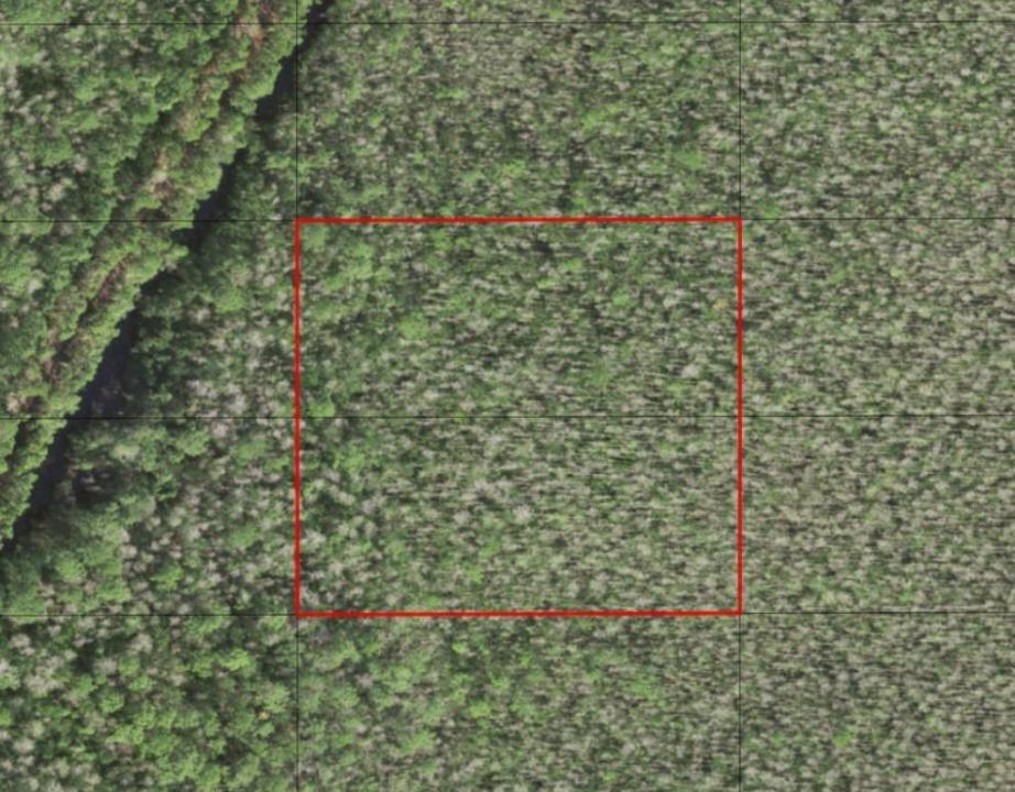 0 Holopaw Groves Road, Florida 34772, Stati Uniti